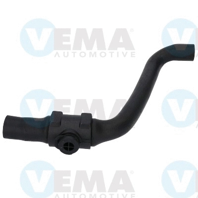 Radiator Hose (VE54536)