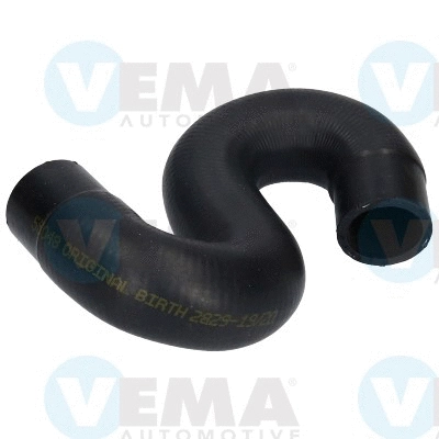Radiator Hose (VE55048)