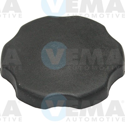 Sealing Cap, oil filler neck (301013)