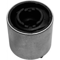 Mounting, control/trailing arm (21038)