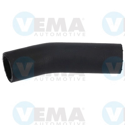 Charge Air Hose (VE55513)