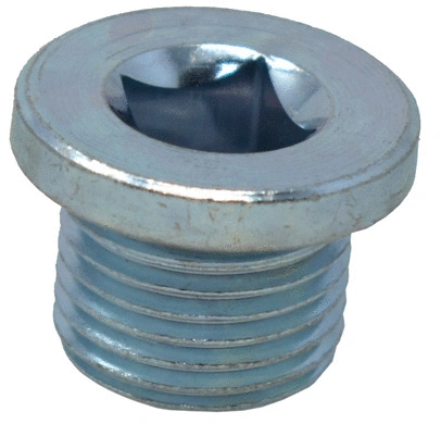 Screw Plug, oil sump (383)