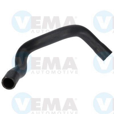 Radiator Hose (VE55229)