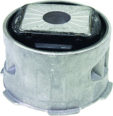 Bushing, axle beam (187007)