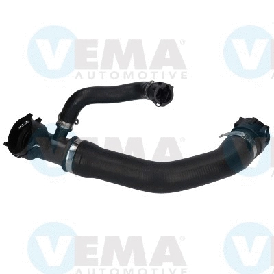 Radiator Hose (VE55295)
