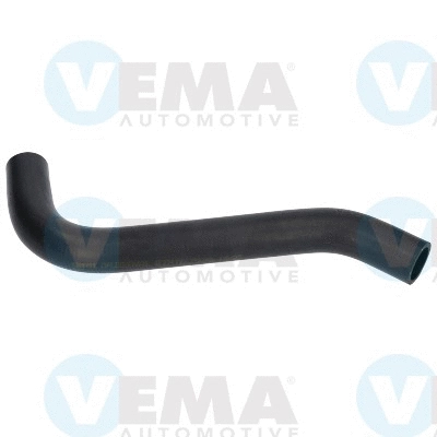 Radiator Hose (VE55101)