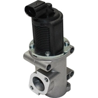 EGR Valve (VE8819)
