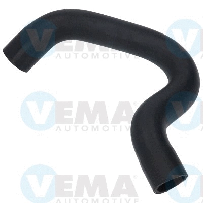 Radiator Hose (VE55279)