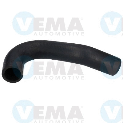 Radiator Hose (VE55179)