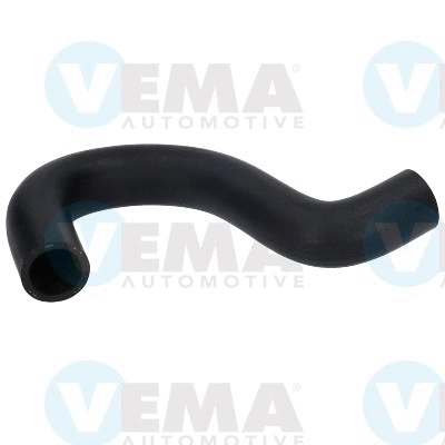 Radiator Hose (VE55180)