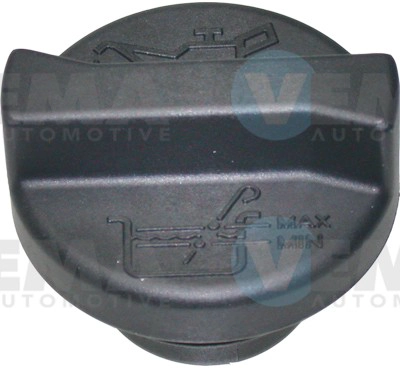Sealing Cap, oil filler neck (301008)