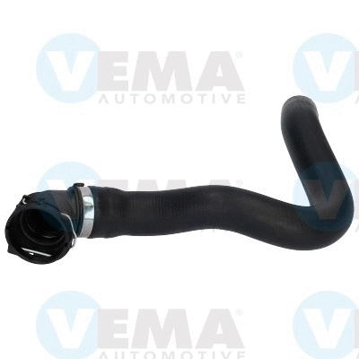 Radiator Hose (VE54767)