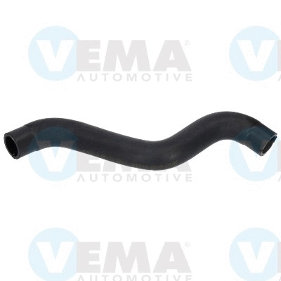 Radiator Hose (VE54725)