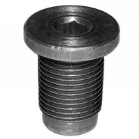 Screw Plug, oil sump (357)