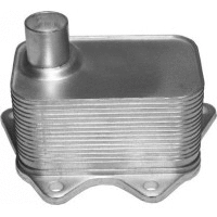 Oil Cooler, engine oil (341013)