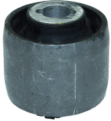 Mounting, control/trailing arm (210069)