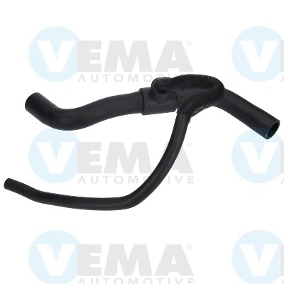 Radiator Hose (VE54658)