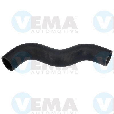 Radiator Hose (VE54991)