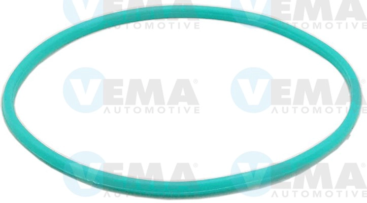 Gasket, fuel pump (760006)