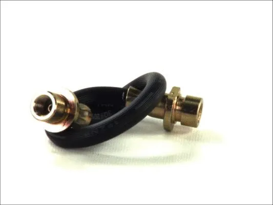 Brake Hose (C89216ABE)