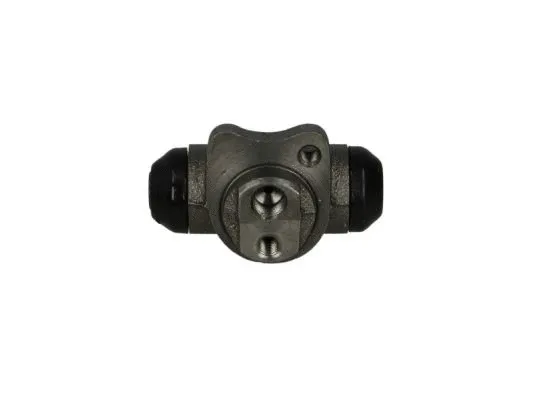 Wheel Brake Cylinder (C50010ABE)