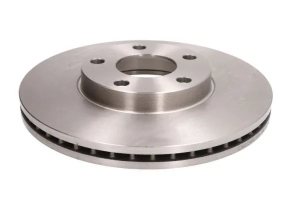 Brake Disc (C3W017ABE)