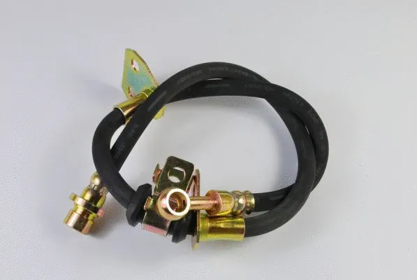 Brake Hose (C89123ABE)