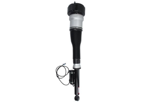 Air Suspension Strut (APM015MT)