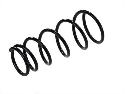 Suspension Spring (SZ2007MT)