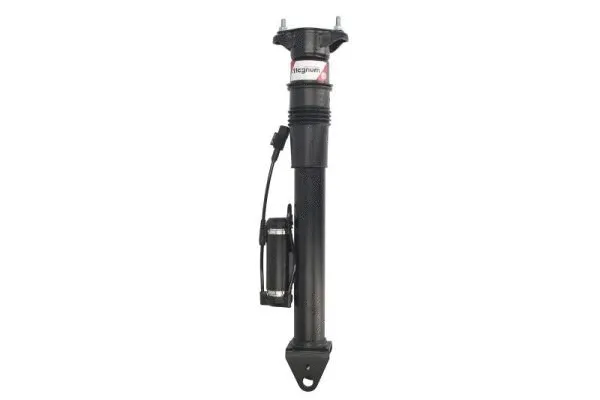 Air Suspension Strut (APM004MT)