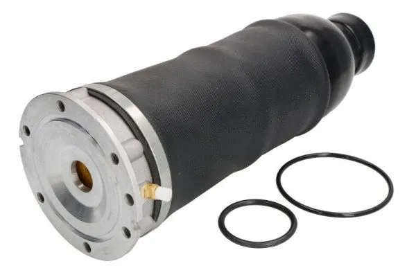 Air Suspension Strut (MZA008MT)