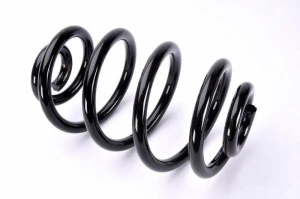 Suspension Spring (SX105MT)