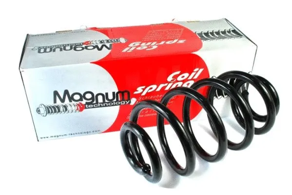 Suspension Spring