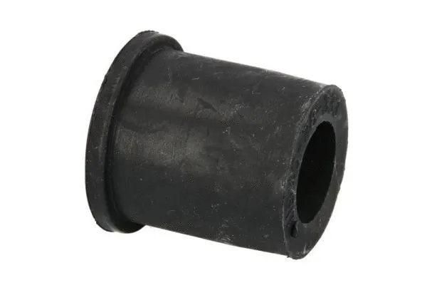 Bushing, leaf spring (A53002MT)