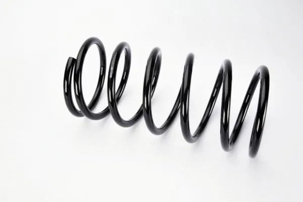 Suspension Spring (S00010MT)