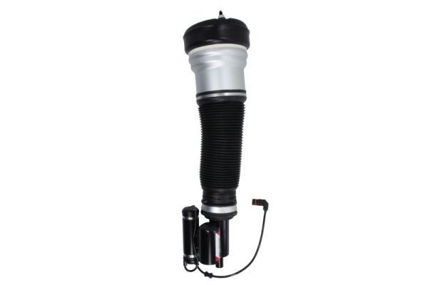 Air Suspension Strut (APM012MT)
