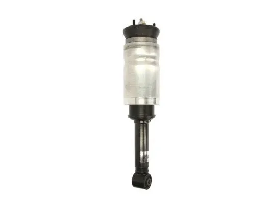Air Suspension Strut (APL009MT)