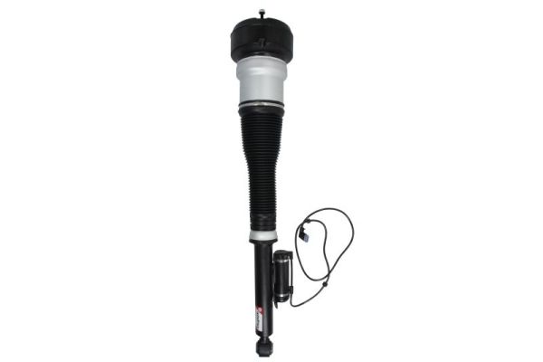 Air Suspension Strut (APM014MT)