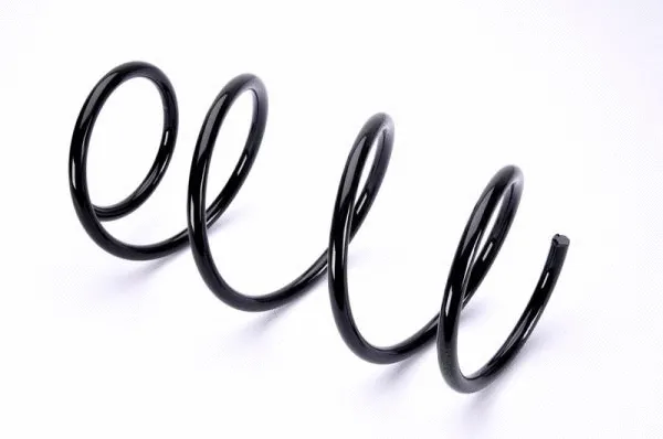 Suspension Spring (SB006MT)