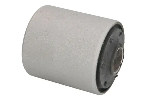 Bushing, leaf spring (A5G004MT)