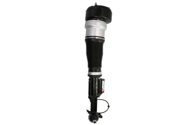 Air Suspension Strut (APM022MT)