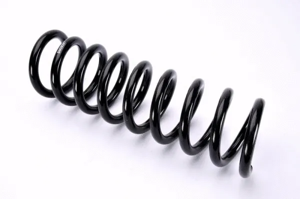 Suspension Spring (SM090MT)