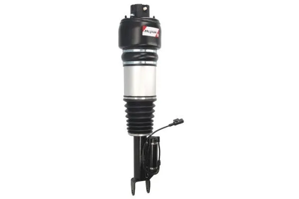 Air Suspension Strut (APM003MT)