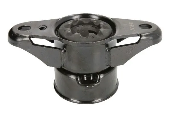 Suspension Strut Mounting