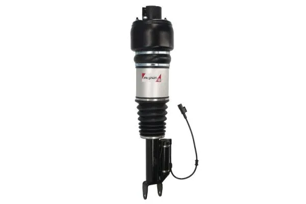 Air Suspension Strut (APM002MT)