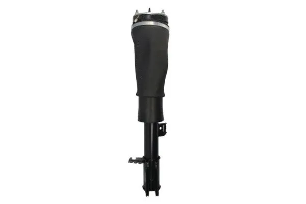 Air Suspension Strut (APL018MT)
