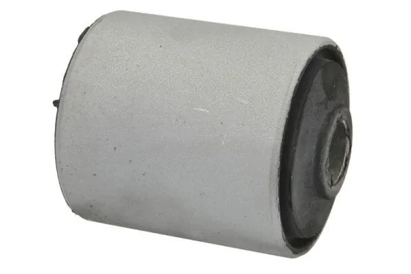 Mounting, leaf spring (A5G005MT)