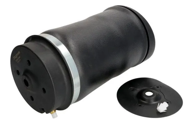 Air Spring, suspension (MZM010MT)