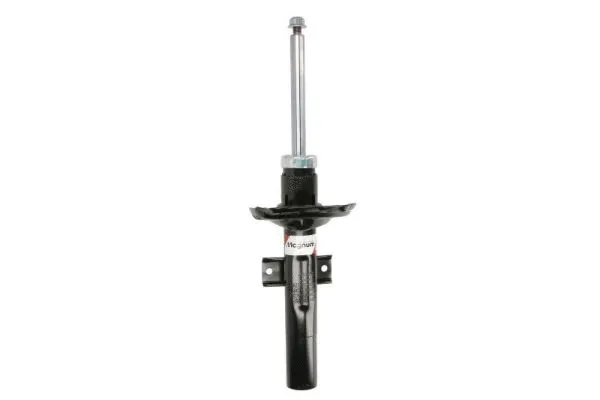Shock Absorber (AGW095)