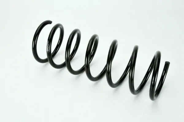 Suspension Spring (SF042MT)